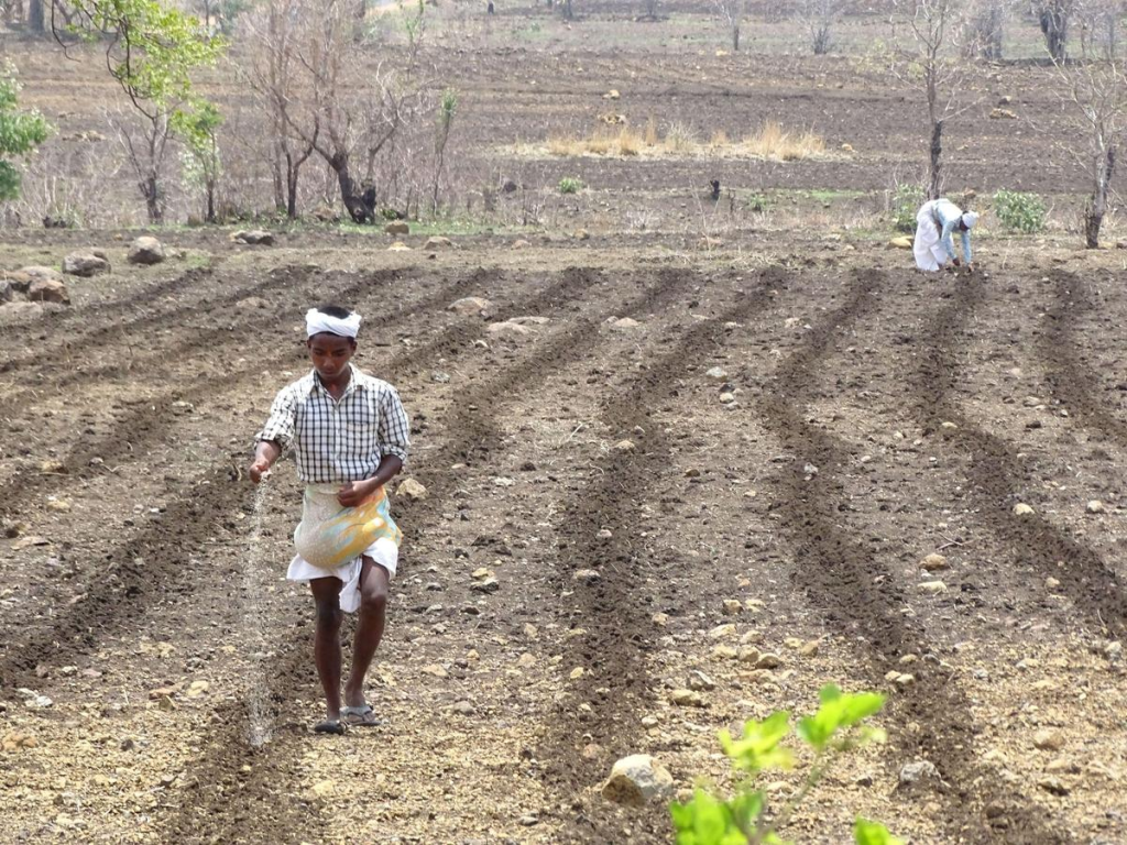 Improving Fertilizer Use Efficiency In India