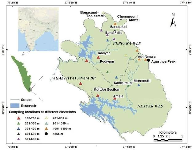 Western Ghats forest landscape representing the Agasthyamalai Biosphere Reserve eviction case