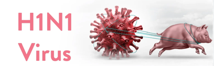 Illustration representing the H1N1 influenza virus and its monsoon-season rise in India