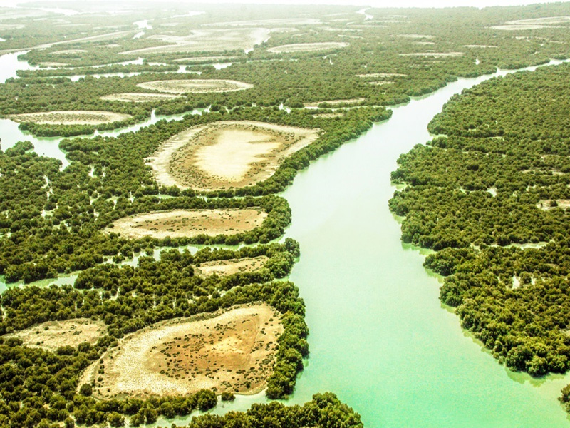 Aerial view of Hara mangrove forest in the Persian Gulf near Qeshm Island