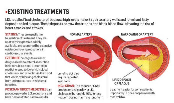 Illustration representing VERVE-102 gene-editing therapy for lowering LDL cholesterol